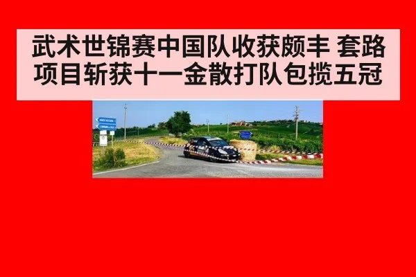 武术世锦赛中国队收获颇丰 套路项目斩获十一金散打队包揽五冠